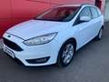 Ford Focus Station Wagon 1.5 TDCi Plus Blanc - thumbnail 2