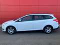 Ford Focus Station Wagon 1.5 TDCi Plus Blanc - thumbnail 3