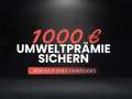 Volkswagen Taigo Life 1,5 TSI-DSG-5 Jahre Garantie-AHK-Rückfahrkame Rouge - thumbnail 8
