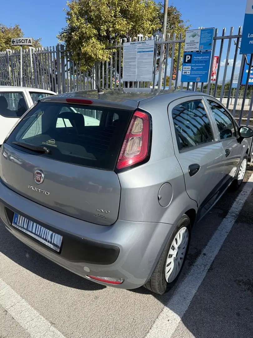 Fiat Punto Evo Grigio - 1