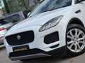 Jaguar E-Pace 2.0 D 150CV/PANO/CAMERA/XENON/FULL/1PROP CARNET Blanc - thumbnail 5