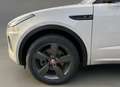 Jaguar E-Pace 2.0 P250 AWD S Aut., Pano | Camera | Navi & Carpla Gris - thumbnail 23