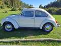 Volkswagen Maggiolino Maggiolone 13 D1 TETTO APRIBILE Beige - thumbnail 1