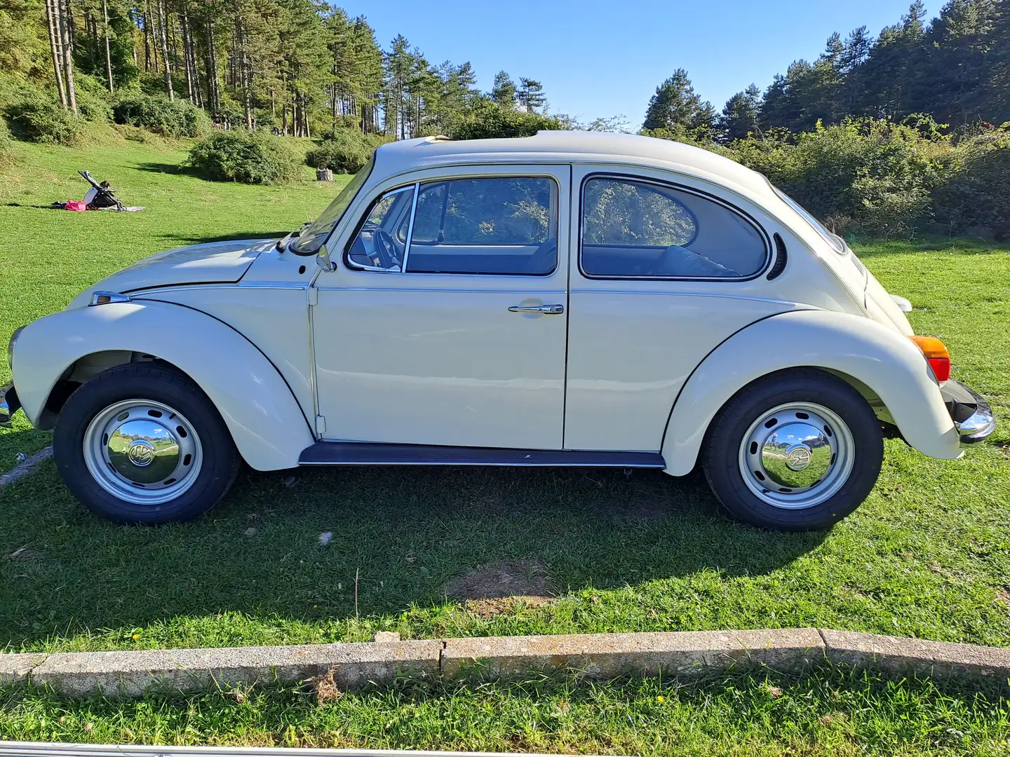 Volkswagen Maggiolino Maggiolone 13 D1 TETTO APRIBILE Beige - 1