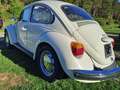 Volkswagen Maggiolino Maggiolone 13 D1 TETTO APRIBILE Beige - thumbnail 3