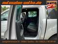 Ford Ranger Wildtrak Doppelkabine 4x4 LED+CAM ASSISTS Plateado - thumbnail 13