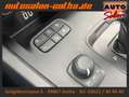Ford Ranger Wildtrak Doppelkabine 4x4 LED+CAM ASSISTS Argent - thumbnail 21