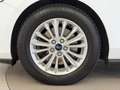Ford Focus 1.5 EcoBlue Titanium Business *Navi, Sitzheizung* Weiß - thumbnail 28