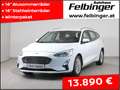 Ford Focus 1.5 EcoBlue Titanium Business *Navi, Sitzheizung* Weiß - thumbnail 1