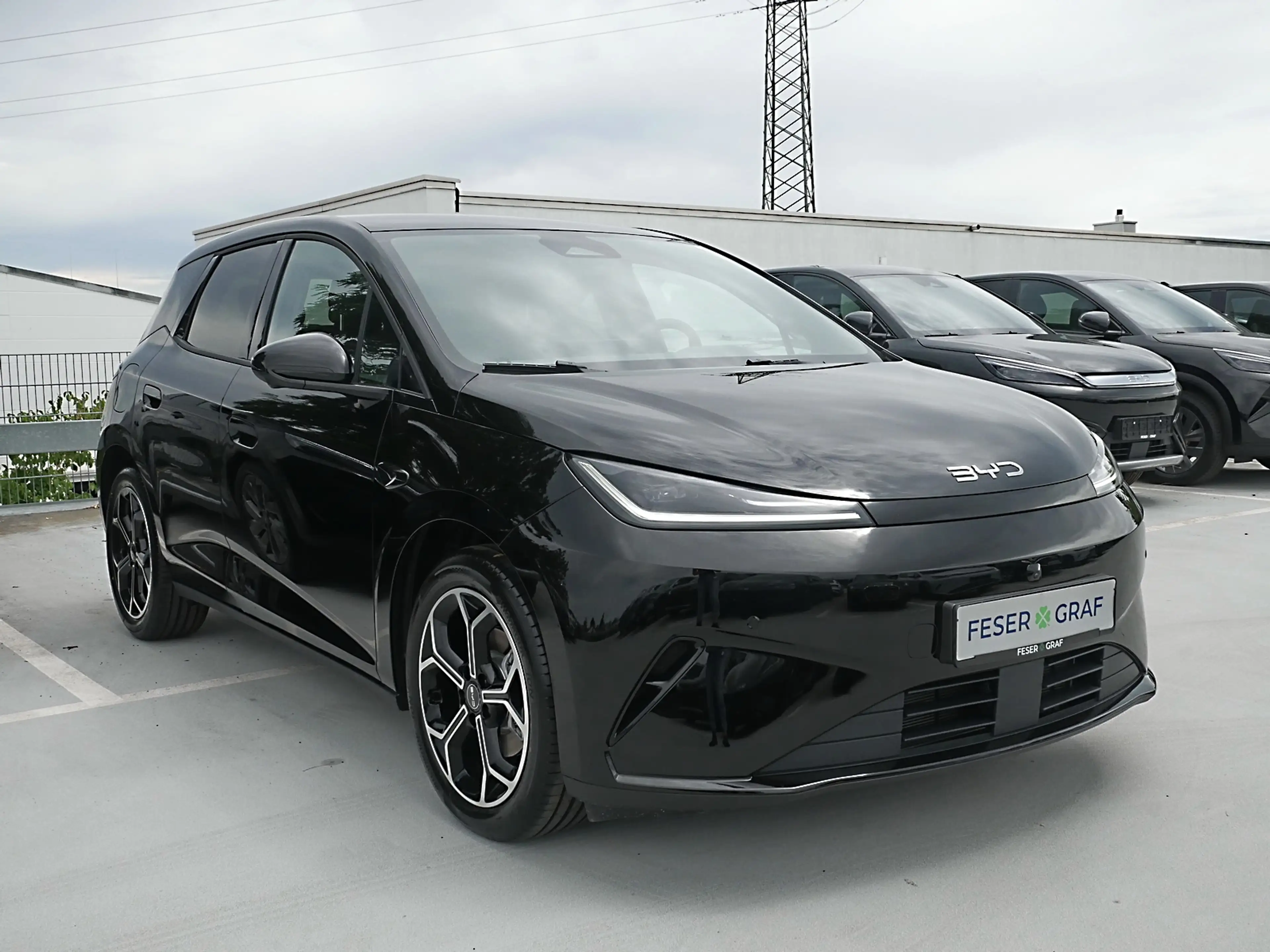 BYD Dolphin G DM-i Comfort 156kW 360° LED Navi Pano — photo 2