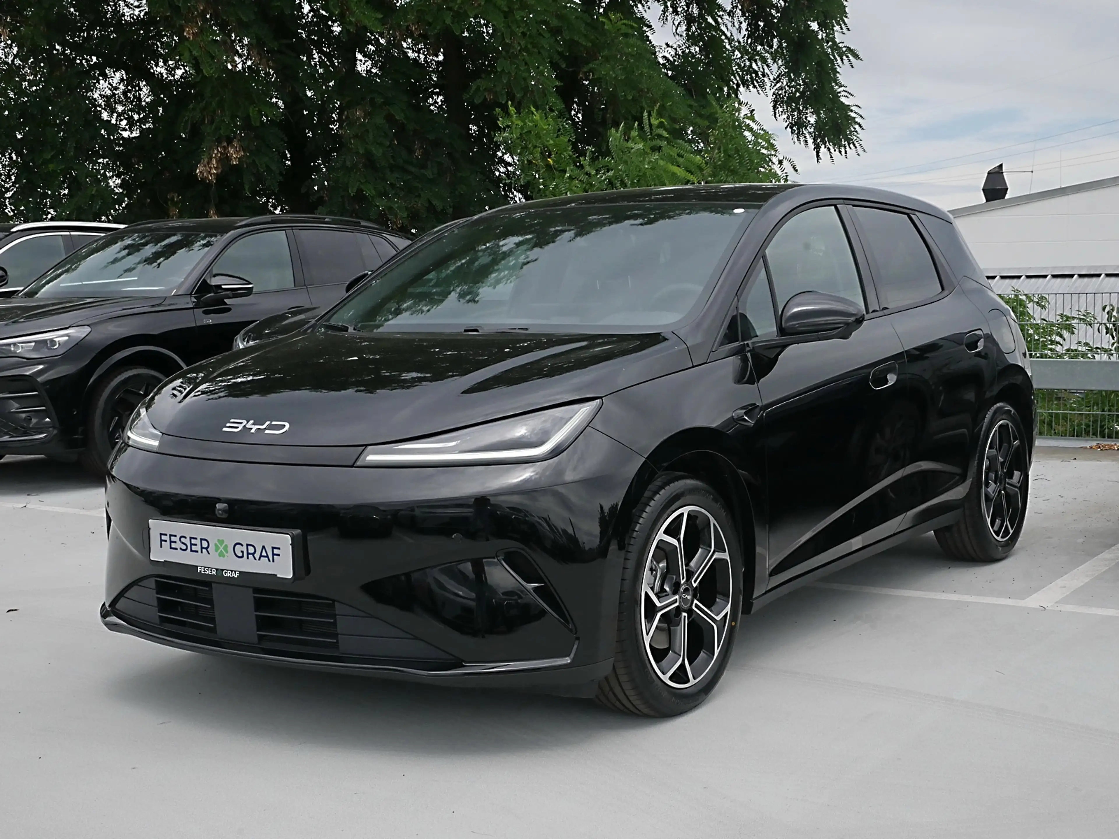 BYD Dolphin G DM-i Comfort 156kW 360° LED Navi Pano — photo 11