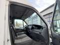 Iveco Daily 35S13 LR Maxi AHK*1. Hand Wit - thumbnail 5