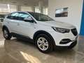 Opel Grandland X 1.5 ecotec Business s Bianco - thumbnail 5