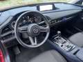 Mazda CX-30 2.0 m-hybrid Exclusive 2wd 122cvUNICO PROPRIETARIO Rosso - thumbnail 13