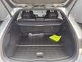 Lexus RX 350h Executive 250 PS AWD Silber - thumbnail 17