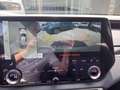 Lexus RX 350h Executive 250 PS AWD Silber - thumbnail 20