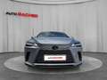 Lexus RX 350h Executive 250 PS AWD Silber - thumbnail 8