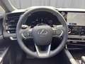 Lexus RX 350h Executive 250 PS AWD Silber - thumbnail 13