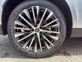 Lexus RX 350h Executive 250 PS AWD Silber - thumbnail 19