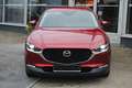 Mazda CX-30 2.0 SKYACTIV-G M-Hybrid Selection.HUD.Navi Rot - thumbnail 2