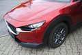 Mazda CX-30 2.0 SKYACTIV-G M-Hybrid Selection.HUD.Navi Rot - thumbnail 5