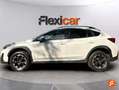 Subaru XV 1.6i Executive Plus CVT Blanco - thumbnail 5