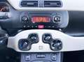 Fiat Panda 1.2 Benzina 69CV E6 Neo - 2014 Bleu - thumbnail 10