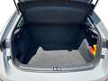 Skoda Scala Scala Ambition 1,0 TSI 81 KW 7-speed automat. Gris - thumbnail 20