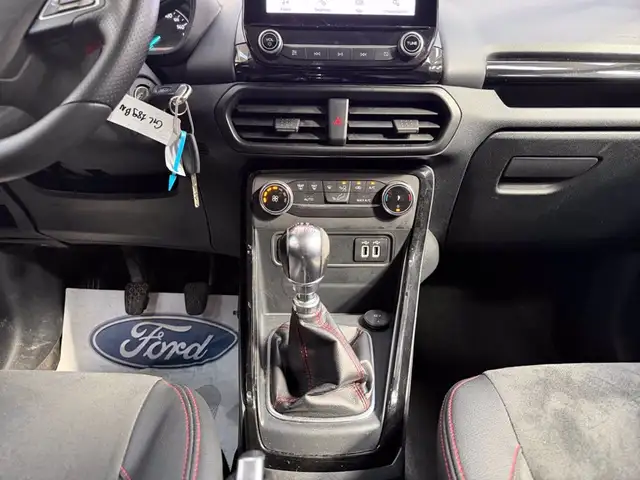 Ford Ecosport view 11