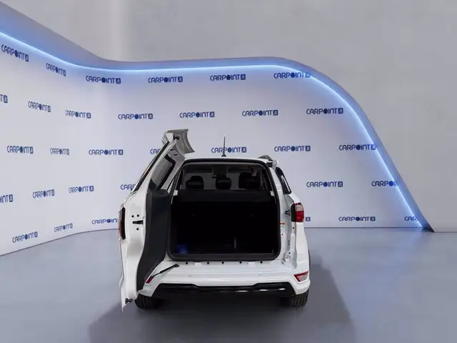 Ford Ecosport view 17