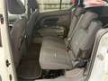 Ford Grand Tourneo CONNECT 1.5 ECOBLUE 120CV SeS ACTIVE Bianco - thumbnail 14