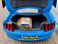 Ford Mustang Shelby GT500 look, RVS Custom uitlaat, leder, Navi Bleu - thumbnail 23