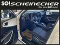 Kia Soul EV 64kWh Long Silber Weiß - thumbnail 13