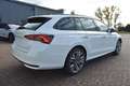 Skoda Octavia 2.0TSI DSG 4X4 Tour*Matrix*Navi*AHK*360° Weiß - thumbnail 7