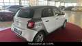 smart forFour Forfour electric drive / EQ Weiß - thumbnail 7