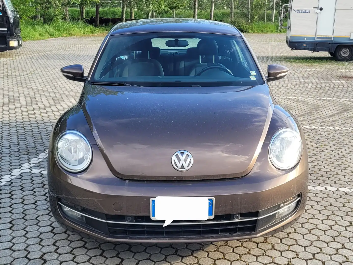 Volkswagen Beetle 1.6 TDI Marrone - 1