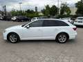 Audi A4 35 TFSI Avant*MMI*Xenon*SitzHz*Elk.Kofferaum* Blanc - thumbnail 7