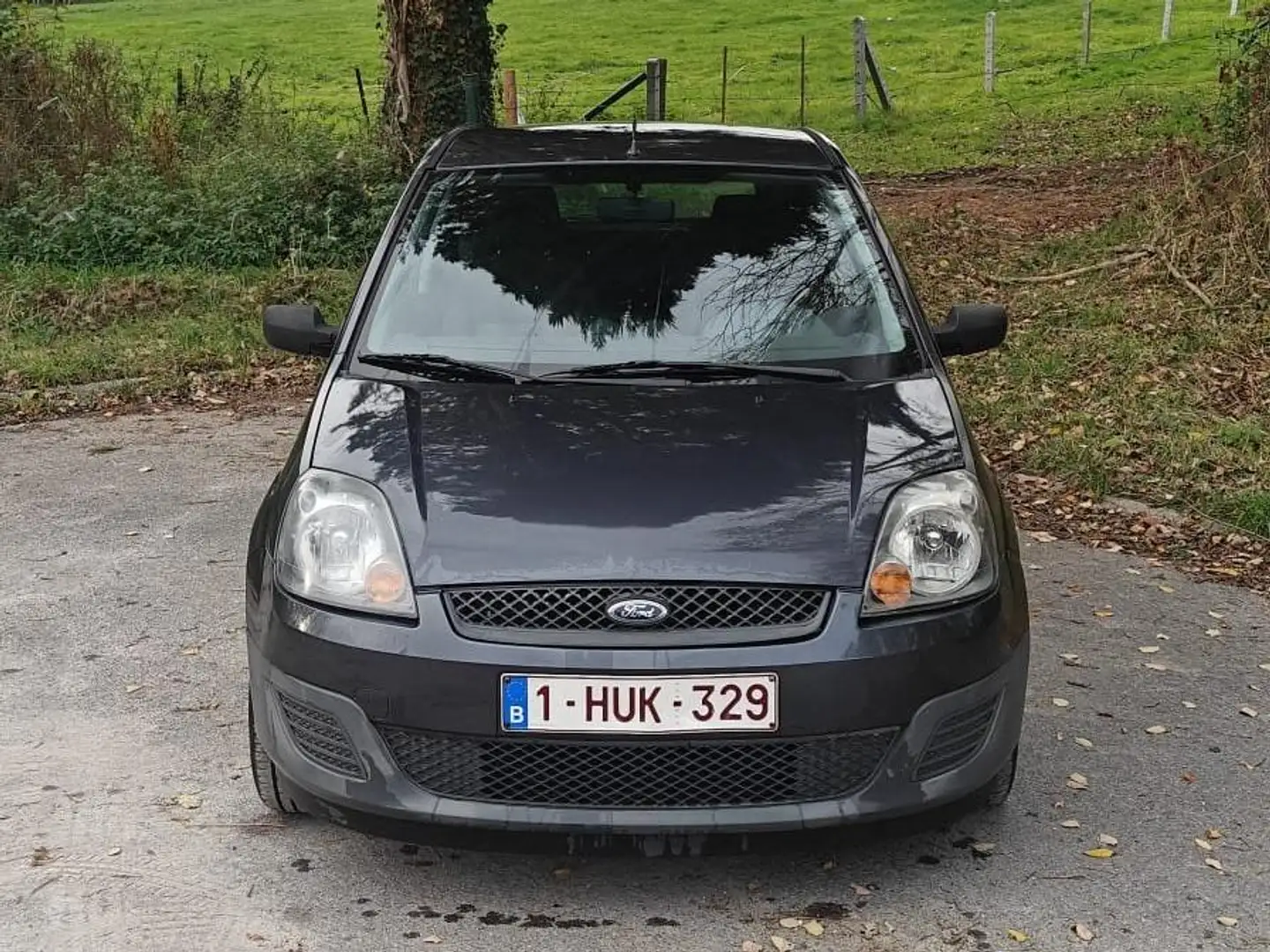 Ford Fiesta Fiesta Сірий - 2