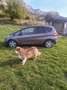 Honda Jazz 1.4 i-VTEC CVT Elegance - thumbnail 3