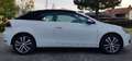 Volkswagen Golf Cabriolet Golf Cabrio BMT 1,6 TDI DPF Weiß - thumbnail 1