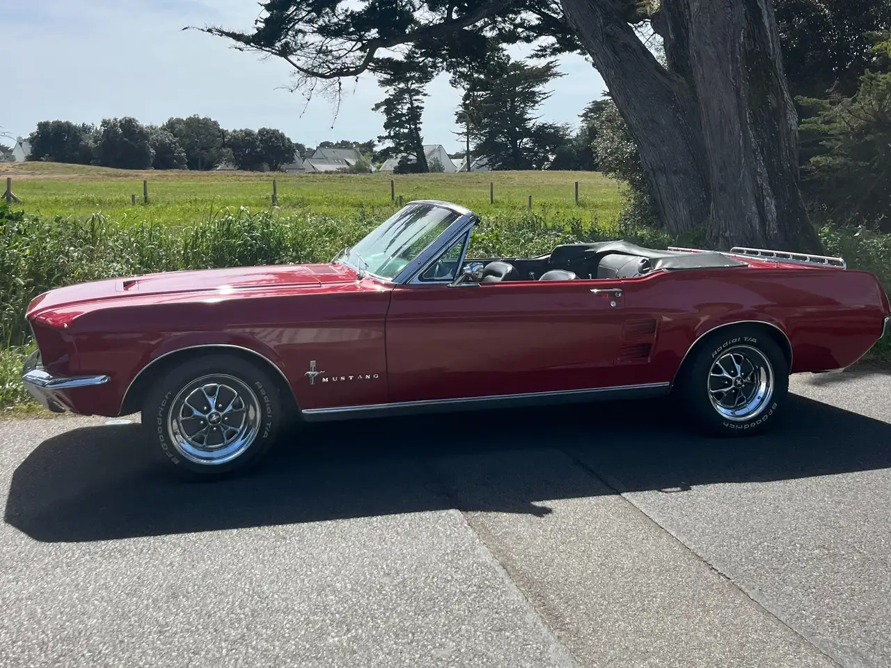 Ford Mustang Convertible, foto 3