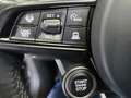 Alfa Romeo Tonale 1.6 diesel 130 CV TCT6 Sprint Nero - thumbnail 15