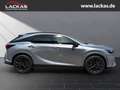 Lexus RX 450h E-FOUR*F-SPORT*DESIGN*PANO*HUD*360-KAMERA* Серебристый - thumbnail 6