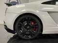 Lamborghini Gallardo Superleggera Blanco - thumbnail 22