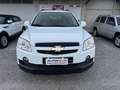 Chevrolet Captiva 2.0vcdi 16v 127cv 7 POSTI Bianco - thumbnail 2