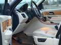 Land Rover Range Rover Sport TDV6 HSE Blau - thumbnail 9