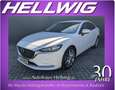 Mazda 6 4-Türer 2.0l Exclusive Leder Bose Matrix-LED Weiß - thumbnail 1