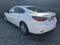 Mazda 6 4-Türer 2.0l Exclusive Leder Bose Matrix-LED Weiß - thumbnail 7