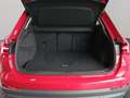 Audi Q3 Matrix RFK AHK Pano 35 TFSI basis Rot - thumbnail 18