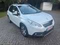 Peugeot 2008 120 VTI Aut Navi Weiß - thumbnail 7